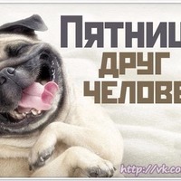 Хотели позитива- пожалуйста!!!