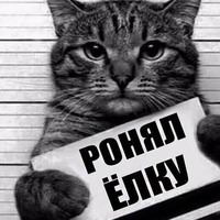 Зверопозитив