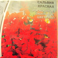 Посевной сезон открыт!!!