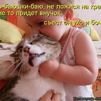 Новогодние коты