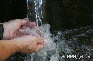 Крапивные ожоги польза или вред