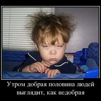 Котоматрицы из интернета