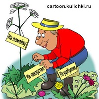 Посмеёмся над собой)))