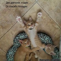 Хорошее настроенье в картинках.