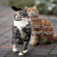 Март, март- котоматрица свежак.