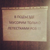 15 душевных объявлений из наших подъездов
