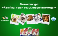 Фотоконкурс: «Farmina: наши счастливые питомцы» — последняя неделя приема работ