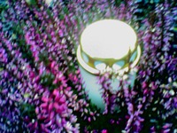 �������� � �������� ����������