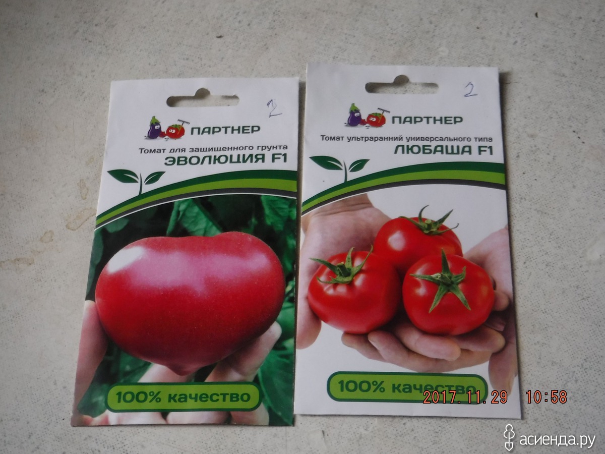 Семена томат Эволюция f1