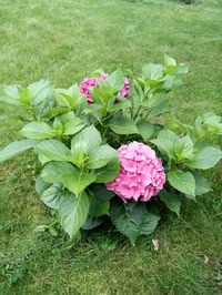 ������ - ������� � ������. �����������!