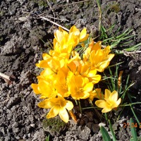 Дача. 21.04.2018