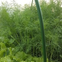 Заметка для себя про кислость и сырость