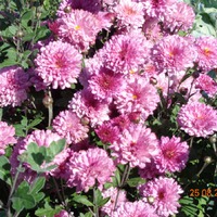 ����. 25.08.2018