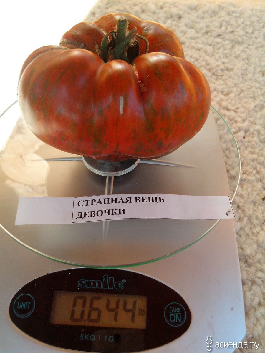 Необычная одежда. Прозрачный рюкзак. Жилет с пуговицами по бокам. Подушки в виде фруктов. Очень необычная одежда.