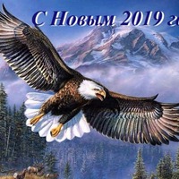 Свинья или Парящий Орёл?