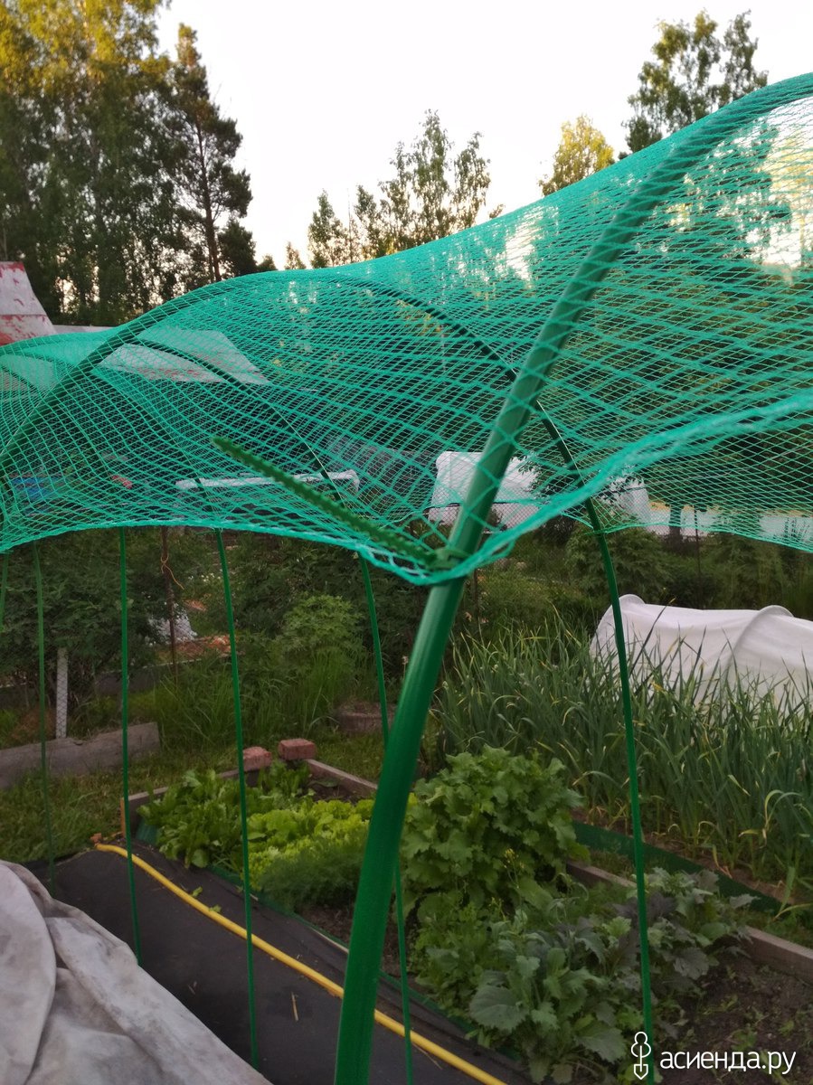 Затеняющая сетка для огорода. Затеняющая сетка 727676. Сетка-навес 4 м 4 дуги стеклопластик, d=4 мм, затеняющая 35%. Навес из затеняющей сетки. Сетка для навеса.