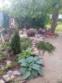 Входная зона
