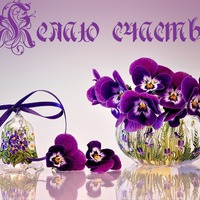 Я желая счастья Вам!