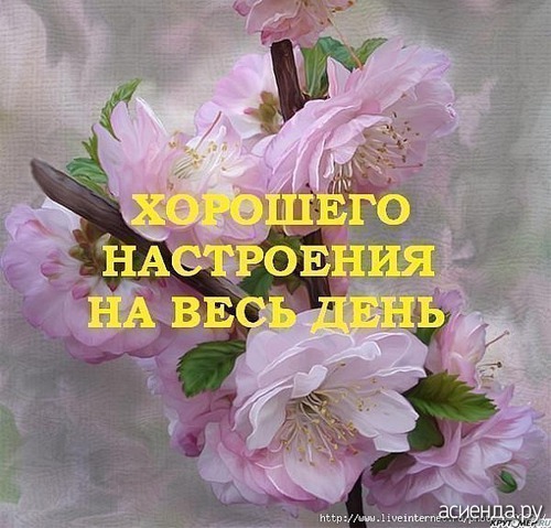 цветочный рай 2018