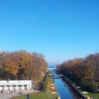 Золотой день в золотом Петергофе!