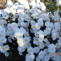 ����. 20.10.2018