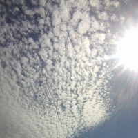 Путешествие в сказку 2, часть 4