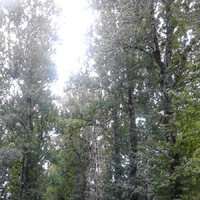 10.09.2018 ��������