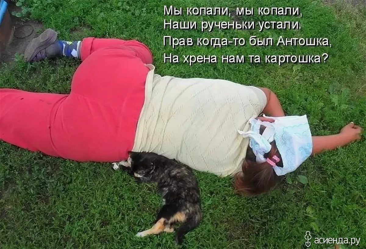 Картинки устала от работы на огороде, днем