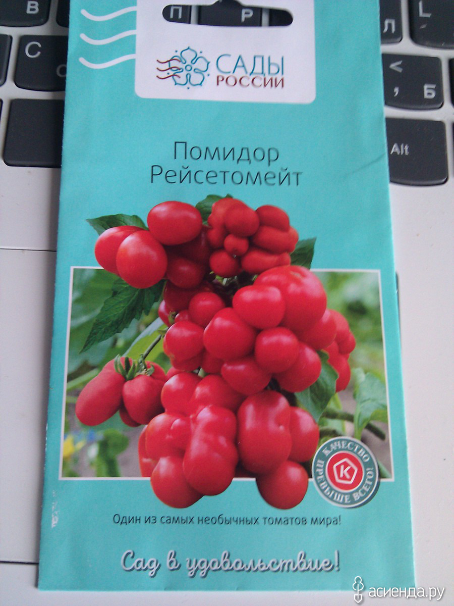 Томаты сорт чесночный отзывы. Томат чесночный семена. Томат "сады России" Рейсетомейт. Томат Рейсетомейт семена. Томат сорт чесночный.