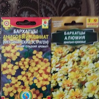 Зимняя спячка, депрессия... как выйти из нее?