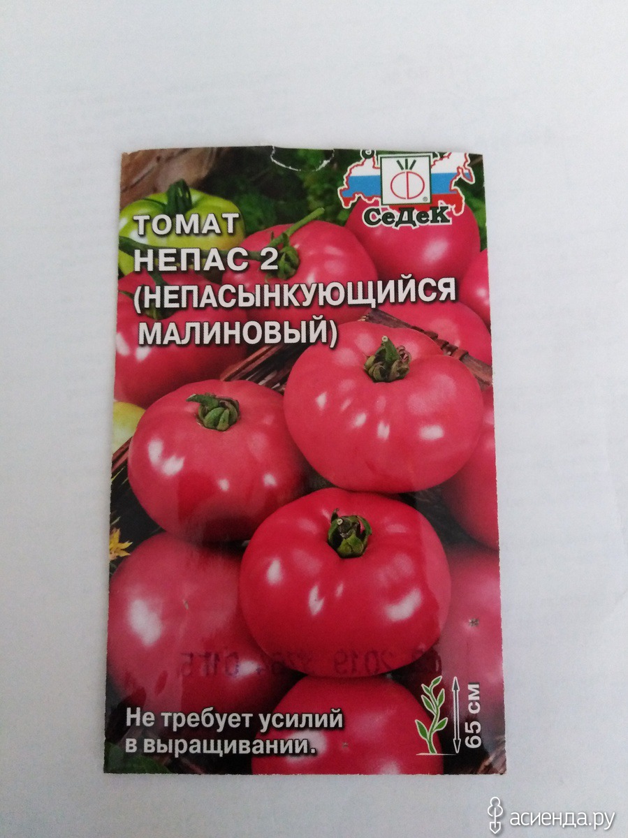 Помидоры непас описание сорта. Томат Непас 3. Томат Непас 4. Томат Непас 10. Томат Непас урожай.