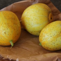 Огурец-лимон: реально ли вырастить на даче?