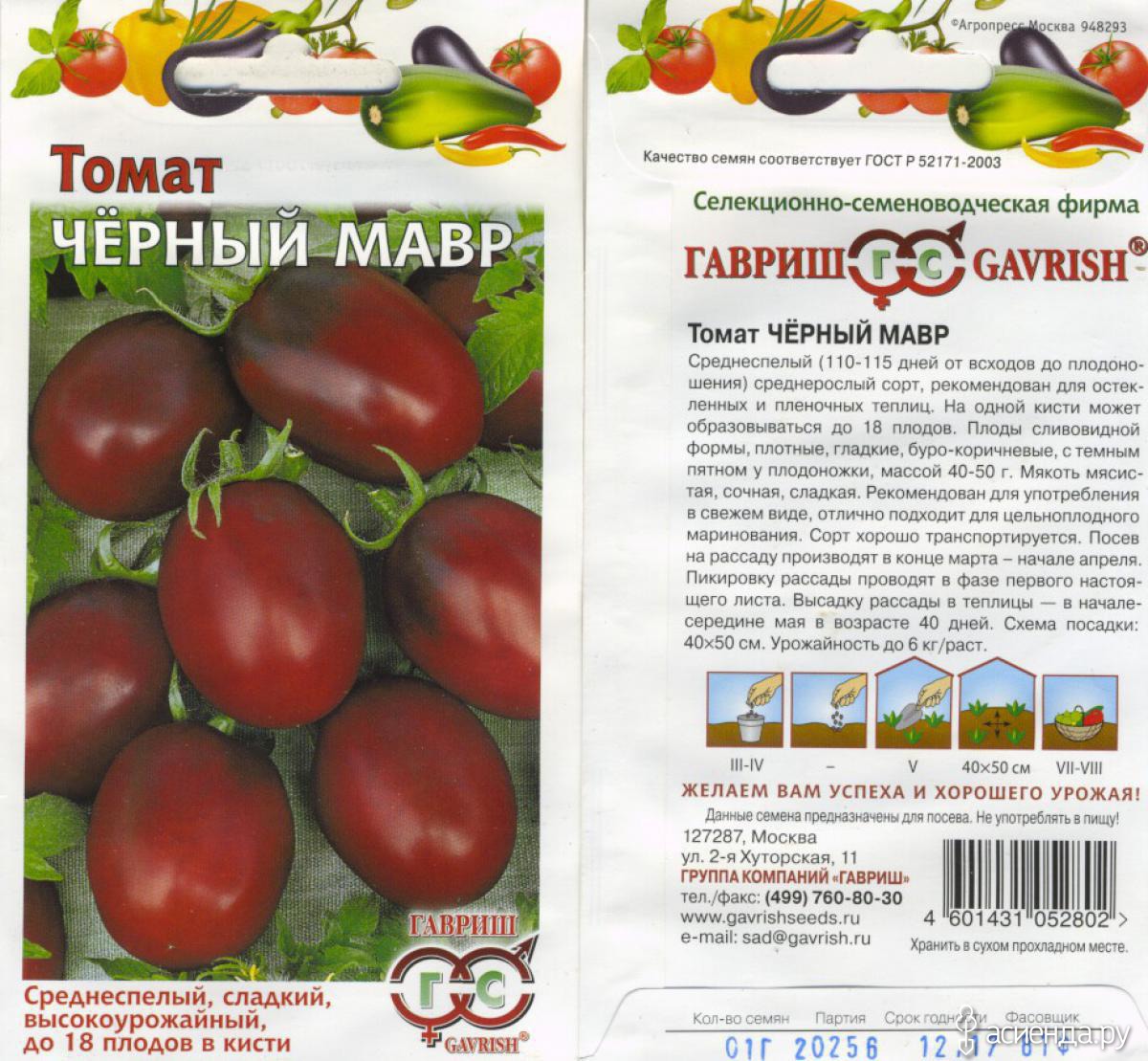 Томат сорт черный мавр. Сорт помидор черный мавр. Семена томат черный мавр. Черный мавр томат черный мавр. Сорта помидор описание сорта фото отзывы. Томат сорт черный мавр. Сорт помидор черный мавр. Семена томат черный мавр. Черный мавр томат черный мавр.