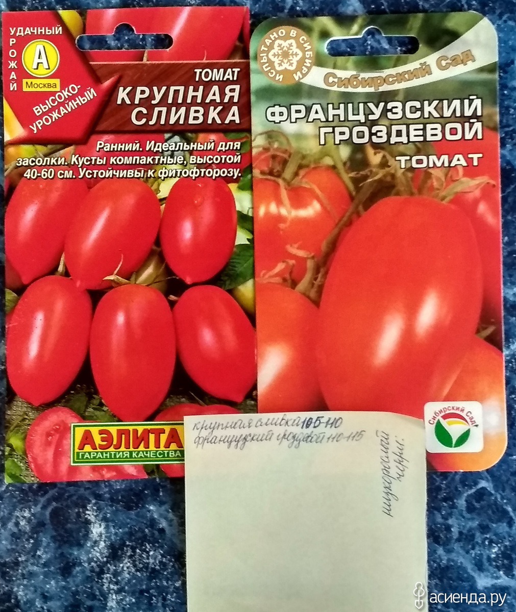 Томат французский гроздевой урожайность. Семена томатов французский гроздевой. Томат гроздевой Семко. Томат Сибирский гроздевой. Томат французский гроздевой характеристика.