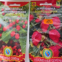Посев земляники - по снегу или по кипятку?