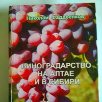 О истори виноградарства на Алтае.