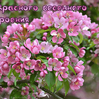 Пробую новый редактор