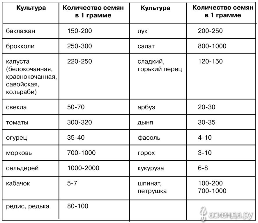 Расход семян на сотку. Сколько штук семян моркови в 1 грамме. Количество семян в 1 грамме томатов. Количество семян в 1 грамме таблица овощи. Сколько семян помидор в 1 грамме штук.