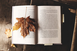 Конкурс "Моя любимая осенняя книга" с "Эксмо на MyCharm.ru
