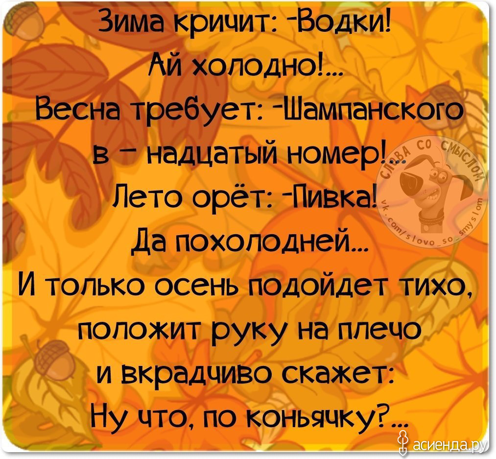 Статусы сентябрь 2020. Смешные высказывания про осень. Осенние афоризмы Веселые. Анекдоты про осень. Осенние анекдоты.