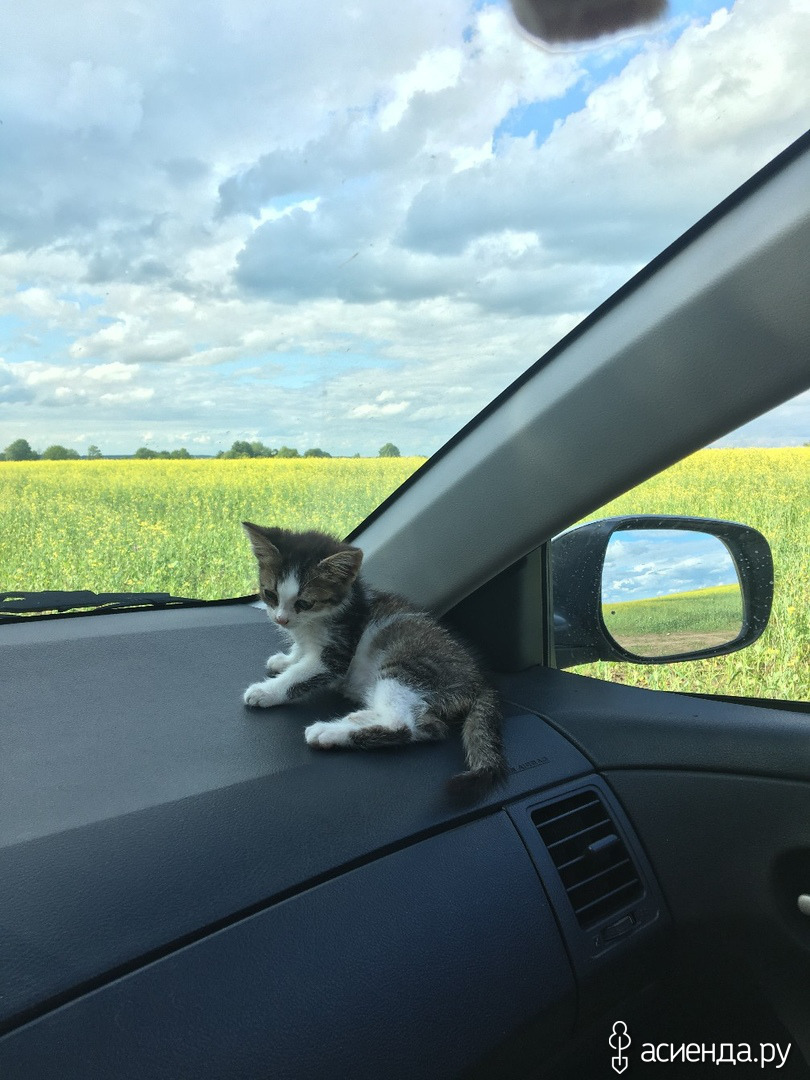 Любуемся фотографиями с малышками в сауне