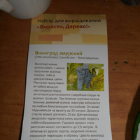Виноград из косточек.