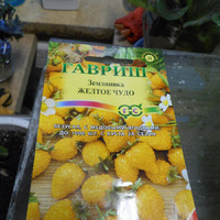Земляничка!