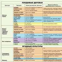 Самые эффективные способы борьбы с вредителями