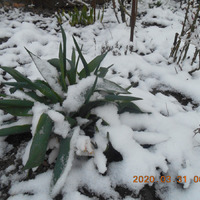 31 марта, весна-зима