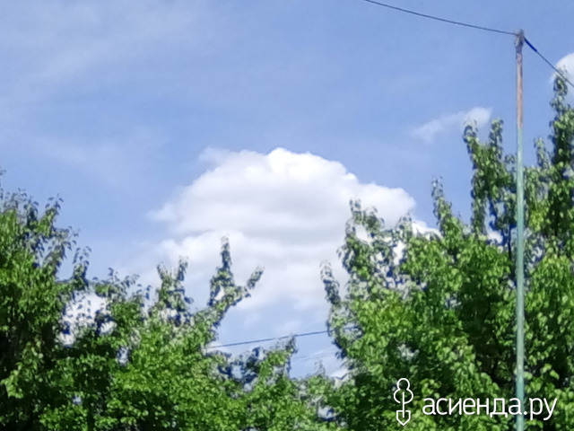 Цветочное поместье.