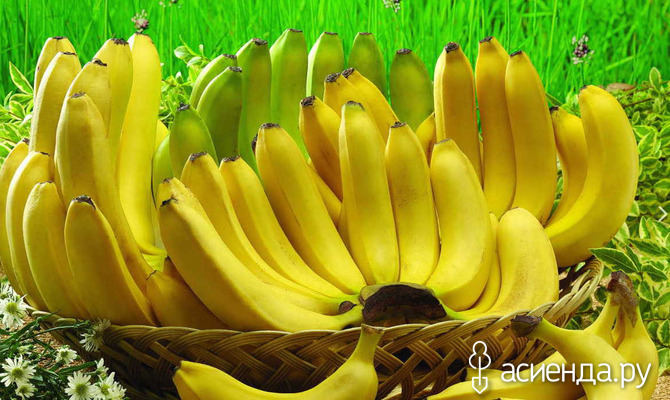 Бананы и наше здоровье