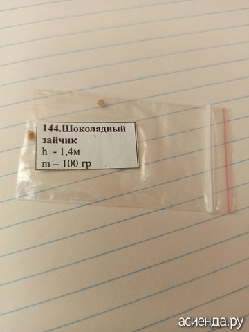 25.  