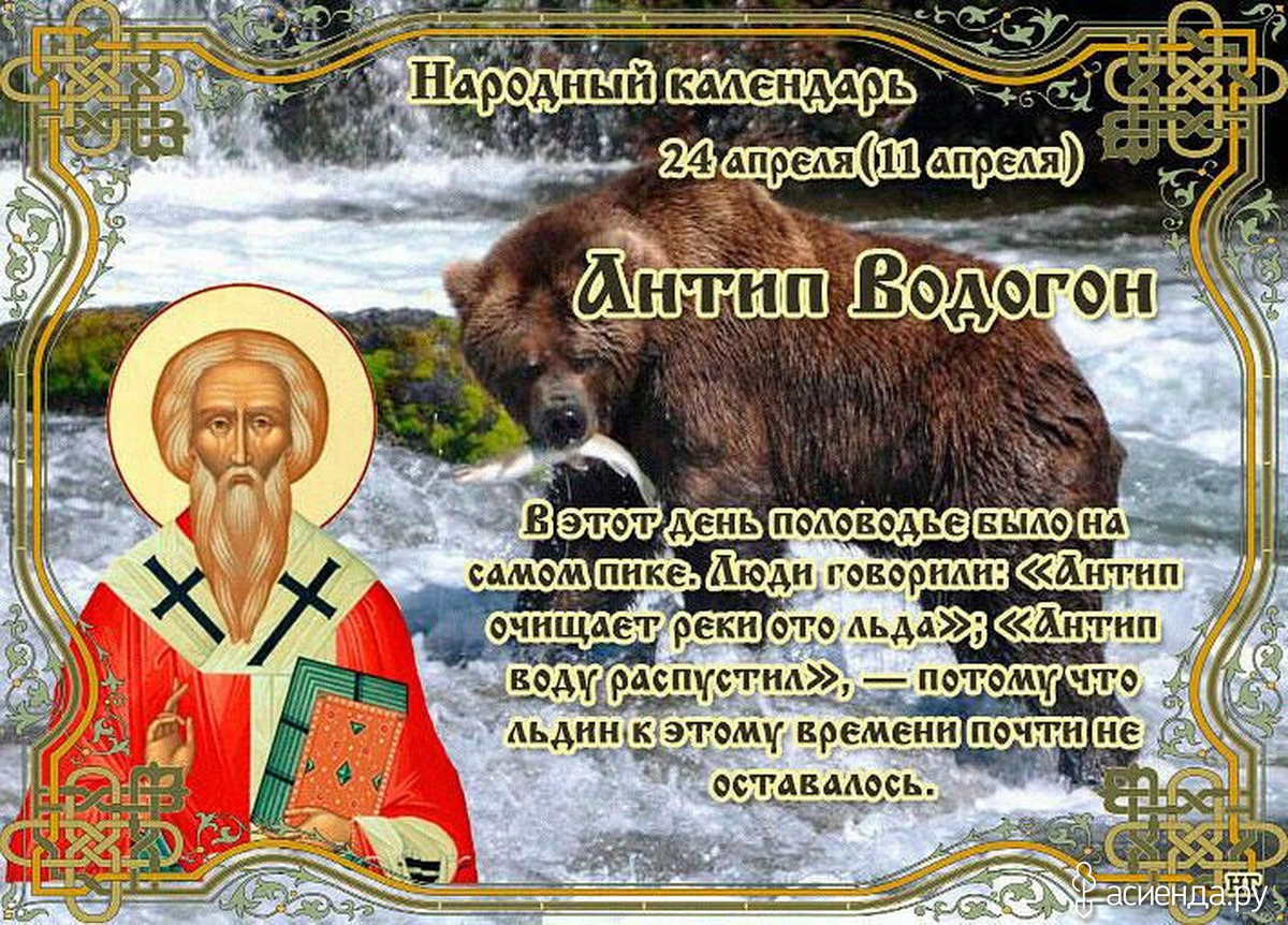 Сегодня 24 апреля. 24 Апреля - Антип Водогон, народные праздники. 24 Апреля народный календарь. Народный праздник Антип Водогон. День 24 апреля в народном календаре.