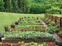 Сад и огород: Источник удовольствия и пользы